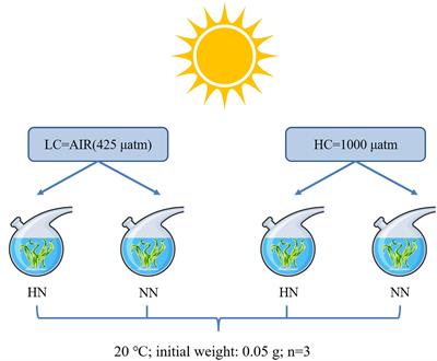 Effects of ocean acidification and eutrophication on the growth and photosynthetic performances of a green tide alga Ulva prolifera